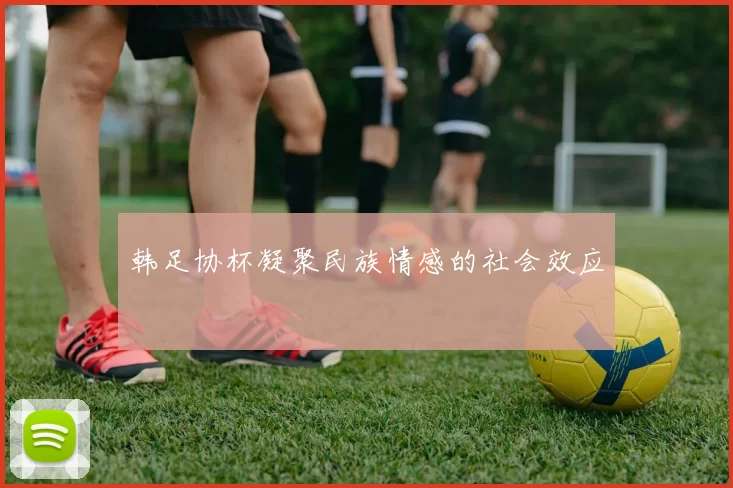 韩足协杯凝聚民族情感的社会效应