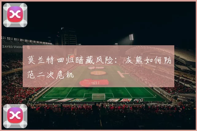 莫兰特回归暗藏风险：灰熊如何防范二次危机