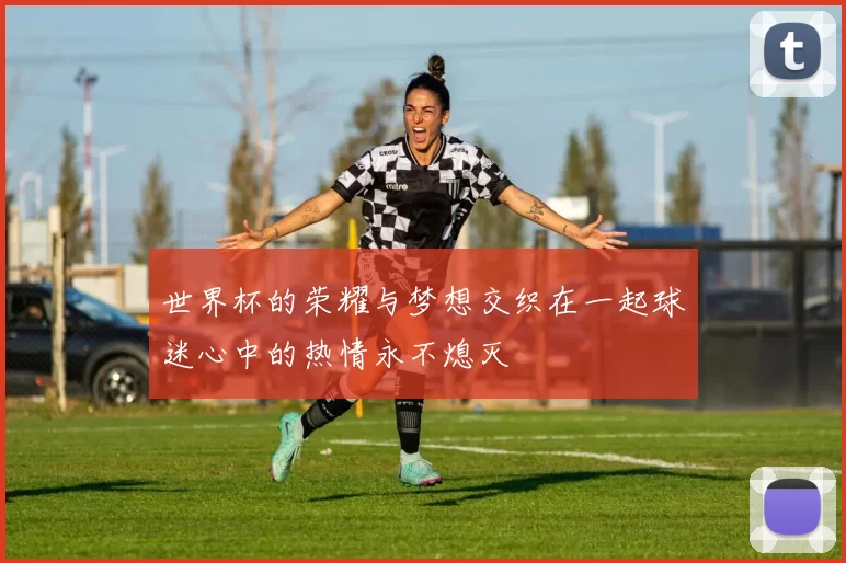 世界杯的荣耀与梦想交织在一起球迷心中的热情永不熄灭