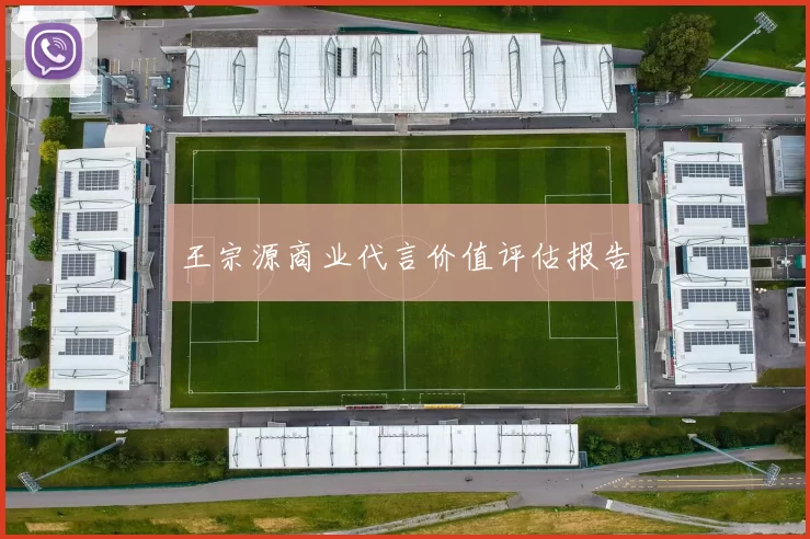 王宗源商业代言价值评估报告