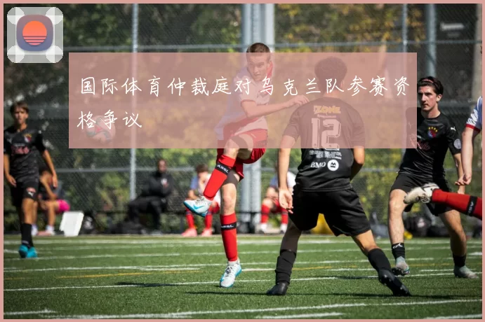 国际体育仲裁庭对乌克兰队参赛资格争议