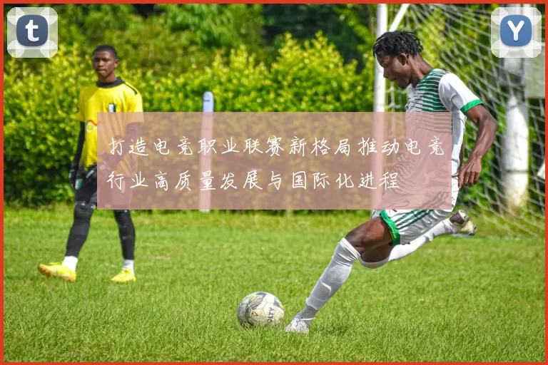 打造电竞职业联赛新格局推动电竞行业高质量发展与国际化进程