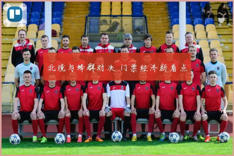 北境与蜂群对决 门票经济新看点