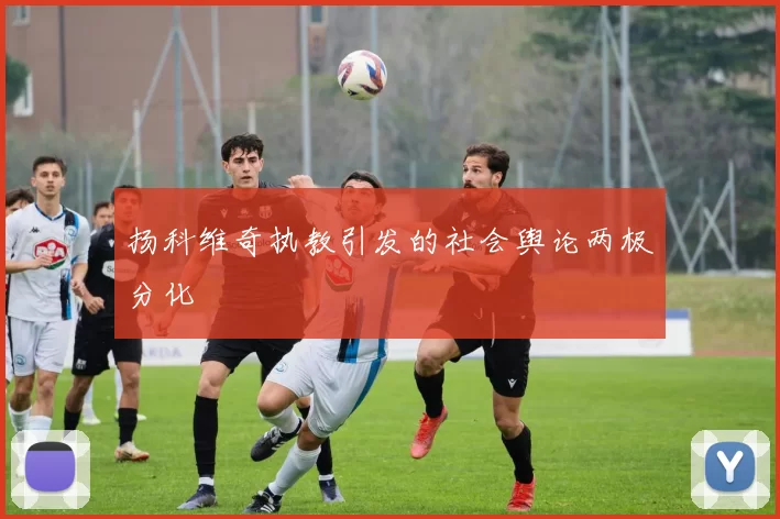 扬科维奇执教引发的社会舆论两极分化
